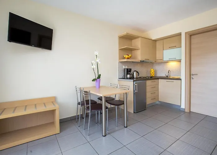 Aventura * Потос